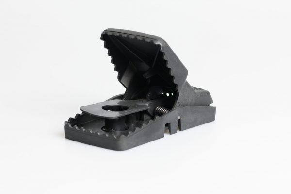 T-Rex rat Trap