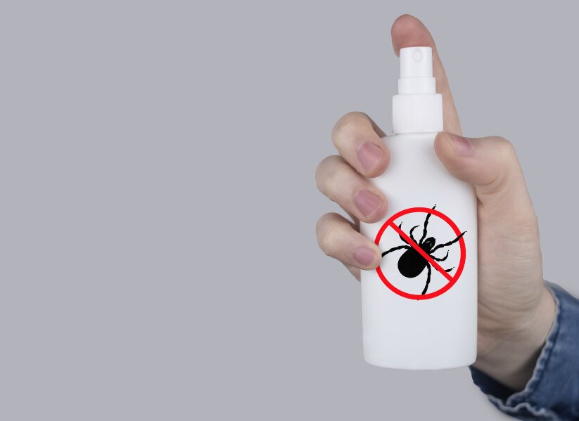 The ultimate guide to choosing the Best Spider Spray
