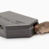 protecta evo mouse trap